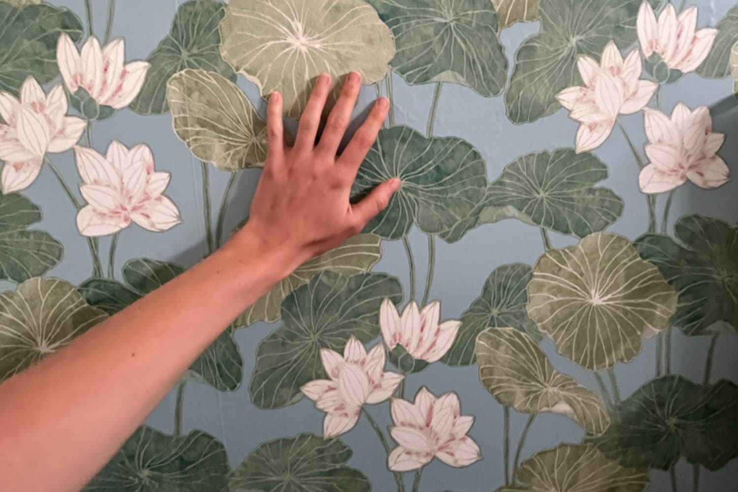 Roommates peel deals and stick wallpaper